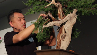 Bonsai demo by Isao Omachi at WBC [upl. by Shabbir]