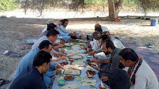 Picnic party with friends quotquotquotNovember 10 2024quotquotquotquot🌹💝💖🌺💗💓💝Douda Khan Dashti [upl. by Aimat]