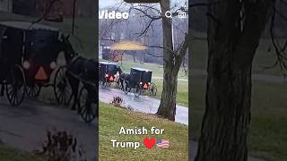 Amish for Trump ♥️🇺🇸💥🎉 check out part 2 with Kamala Karen response😂saveamericatrumptds [upl. by Stutman640]