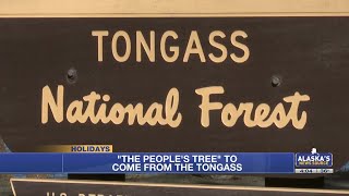 Capitol Christmas tree to come from Tongass National Forest [upl. by Ajna]