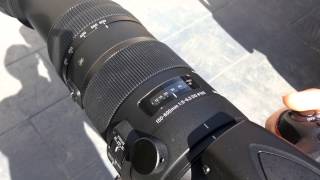 Sigma 150600mm Sports Lens 600mm Focus Speed Test [upl. by Bartlet]