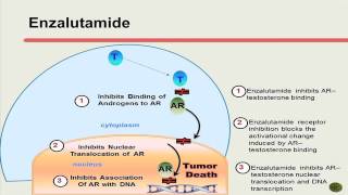 Optimizing Outcomes in Advanced Prostate Cancer [upl. by Wurst129]