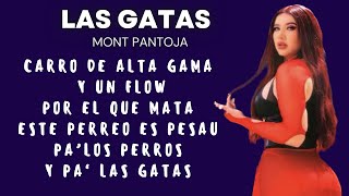 Las Gatas  Mont Pantoja  Letra Oficial [upl. by Folsom]