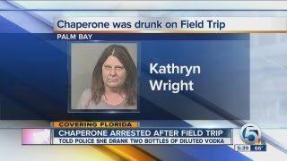 Chaperone arrested after field trip [upl. by Ellebasi]