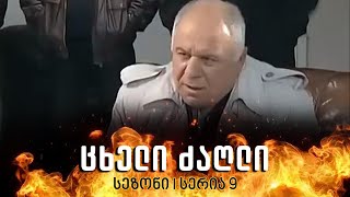 ცხელი ძაღლი  სეზონი 1 სერია 9 [upl. by Eram508]