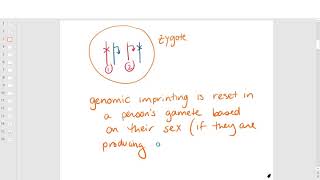 Genomic imprinting nondisjunction and uniparental disomy [upl. by Ainslie]