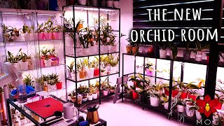 New Orchid Room Mini Tour  What should we name this one 🤔 [upl. by Gnagflow]