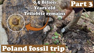 Cambrian trilobites forest  Part 3 [upl. by Bouldon]