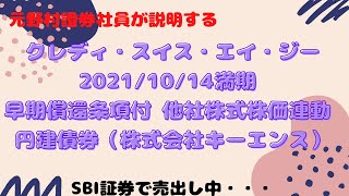 【元野村證券社員が説明する】SBI証券で売出中の仕組み債 [upl. by Enilasor]