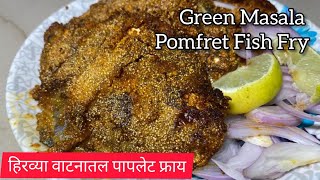 Paplet Fish Fry Recipe  Fish Tawa Fry  Pomfret Fish Fry Kaise Kare  Pamplet Fish Fry [upl. by Ledua]