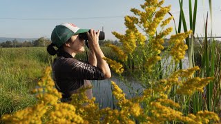 NRRI Integrated Research Solutions Presents The Avian Ecology Lab [upl. by Martreb]