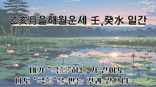 11월운세 을해월운세 임수일간계수일간 사주운세 타로운세 일주별운세 [upl. by Vlad182]