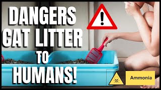 The Dangers of Cat Litter to Humans [upl. by Bryner]