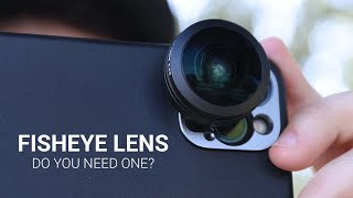 Do you need a Fisheye Lens  SANDMARC [upl. by Nosa]