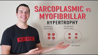 Sarcoplasmic vs Myofibrillar Hypertrophy [upl. by Ronyar]