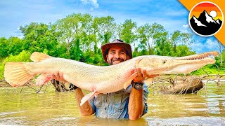 GAR WARS The Battle to Save this GIANT Fish [upl. by Panter]