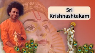 Sri Krishnashtakam With Meaning  Krishna Stotram  Sri Adi Shankaracharya [upl. by Silenay]