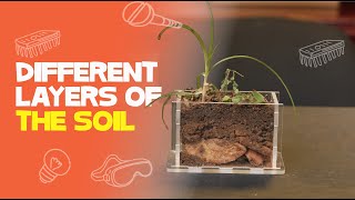 Soil Layers And Horizons  Soil Science [upl. by Myrtice83]