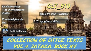 CLT510Life once conceived  JATAKA Khuddaka Nikaya “Short Passages WHD Rouse Jun 2024 [upl. by Iru965]