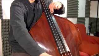 Canon in D  Double Bass [upl. by Norraa]