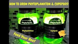 How To Harvest Phytoplankton amp Copepods  Poseidon Reef Systems  Culturing Phyto amp Copepods [upl. by Alastair683]