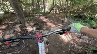 Snowshoe Bike Park  Rooty Pebbles  P [upl. by Ytrebil]