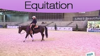 Tout savoir sur le pas le trot le galop en équitation [upl. by Aleahs835]