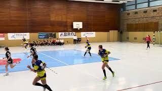 061024 🤾🏼‍♀️2 HZ DHB 3 Liga St Nord Berliner TSCBuxtehuder SV II [upl. by Goodill]