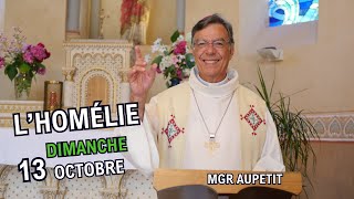 Homélie Mgr Aupetit  dimanche 13 oct 2024 [upl. by Lecirg]