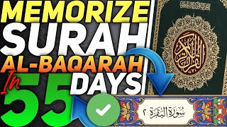 How to Memorize Surah AlBaqarah in Just 55 Days How to Memorize Quran Fast and Easily [upl. by Arun]