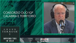 Consorzio olio IGP Calabria e territorio  𝗚𝗿𝗮𝗻𝗱 𝗧𝗲𝗿𝗿𝗼𝗶𝗿 𝗶𝗺𝗽𝗿𝗲𝗻𝗱𝗶𝘁𝗼𝗿𝗶 𝗶𝗻 𝘃𝗼𝗹𝗼 [upl. by Nosrac]