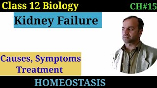 Renal Failure class 12 Causes  symptoms and treatment of Kidney failure [upl. by Larochelle79]