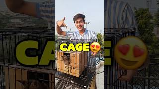 New Cage For Cats 💀😍  Mini Vlog shorts minivlog ashortaday vlog tranding cats [upl. by Jenni]