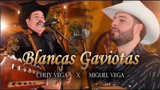 Blancas Gaviotas  Chuy Vega Ft Miguel Vega quoten vivoquot [upl. by Magdalena]