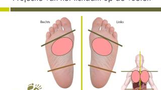 Voetreflexologie projectie organen op voeten [upl. by Nnasus838]