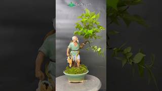 Made Bonsai Plant with Amazing Way  Bonsai Plant [upl. by Yeloc]