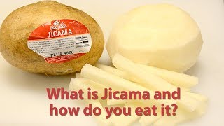 Jicama [upl. by Ynner735]