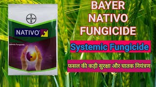 NATIVO FUNGICIDE  Tebuconazole  Trifloxystrobin  SYSTEMIC FUNGICIDE  BAYER  कवकनाशी  leaf spot [upl. by Lleral]