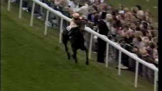 The History Of Epsom Derby UK Thoroughbreds 22 [upl. by Boggs401]