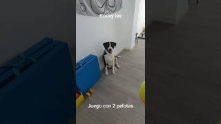 Juego con 2 pelotas [upl. by Zerla]