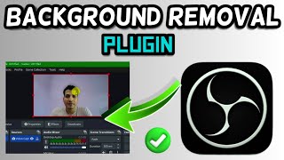 OBS Background Remover Plugin  OBS Background Blur No Software [upl. by Enymsaj]