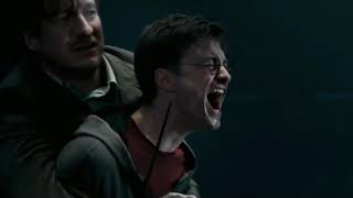 harrys unmuted scream in sirius death harry potter and the order of the phoenix [upl. by Bicknell]