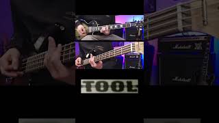 TOOL  Stinkfist  Guitar and Bass Cover 4 [upl. by Alistair17]