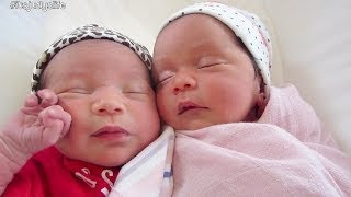 HAPPY TWINS  August 13 2014  itsjudyslife daily vlog [upl. by Neeluj]