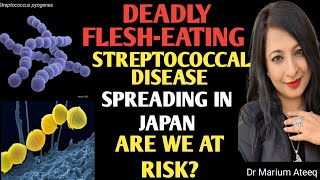 JAPANS FLESHEATING DISEASE OUTBREAKARE WE NEXT [upl. by Gavin420]