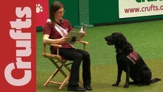 Hearing Dogs Display  Crufts 2012 [upl. by Scales529]