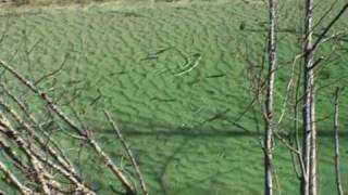 Fliegenfischen im Landhotel Almrösl  Huettschlag  Großarl  Salzburger Land [upl. by Keary]