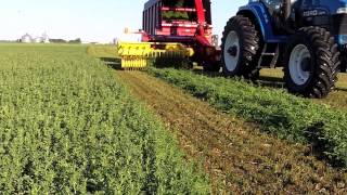 Harvesting Alfalfa for Nutritional Supplements Video [upl. by Scholem413]