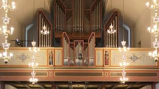 Also sprach Zarathustra RStrauss  Majestic Organ [upl. by Annaira101]