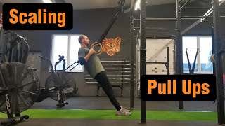 How To Do Pull Ups and Scale Them [upl. by Assiluy]